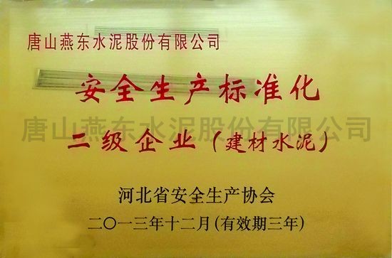 安全生產標準化二級企業（建材水泥）