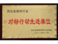 對標行動先進單位/